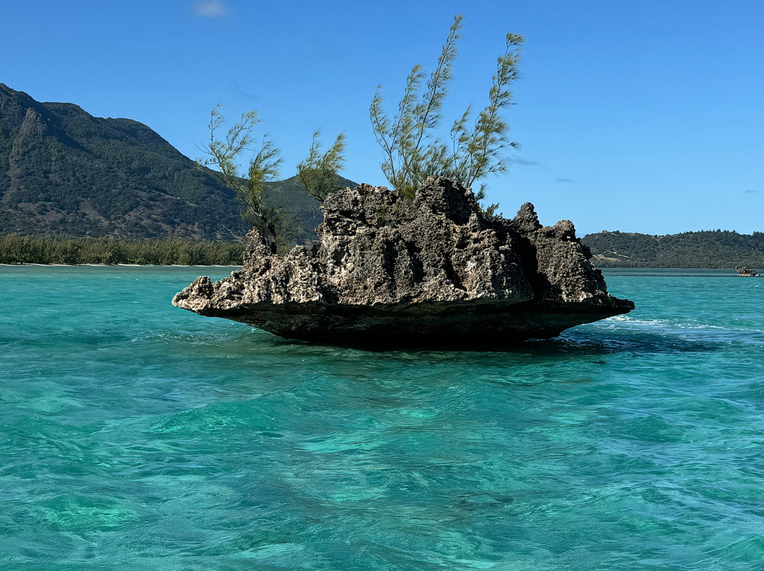 Fabulous View - Dodo Rasta-阿尔比恩必去景点