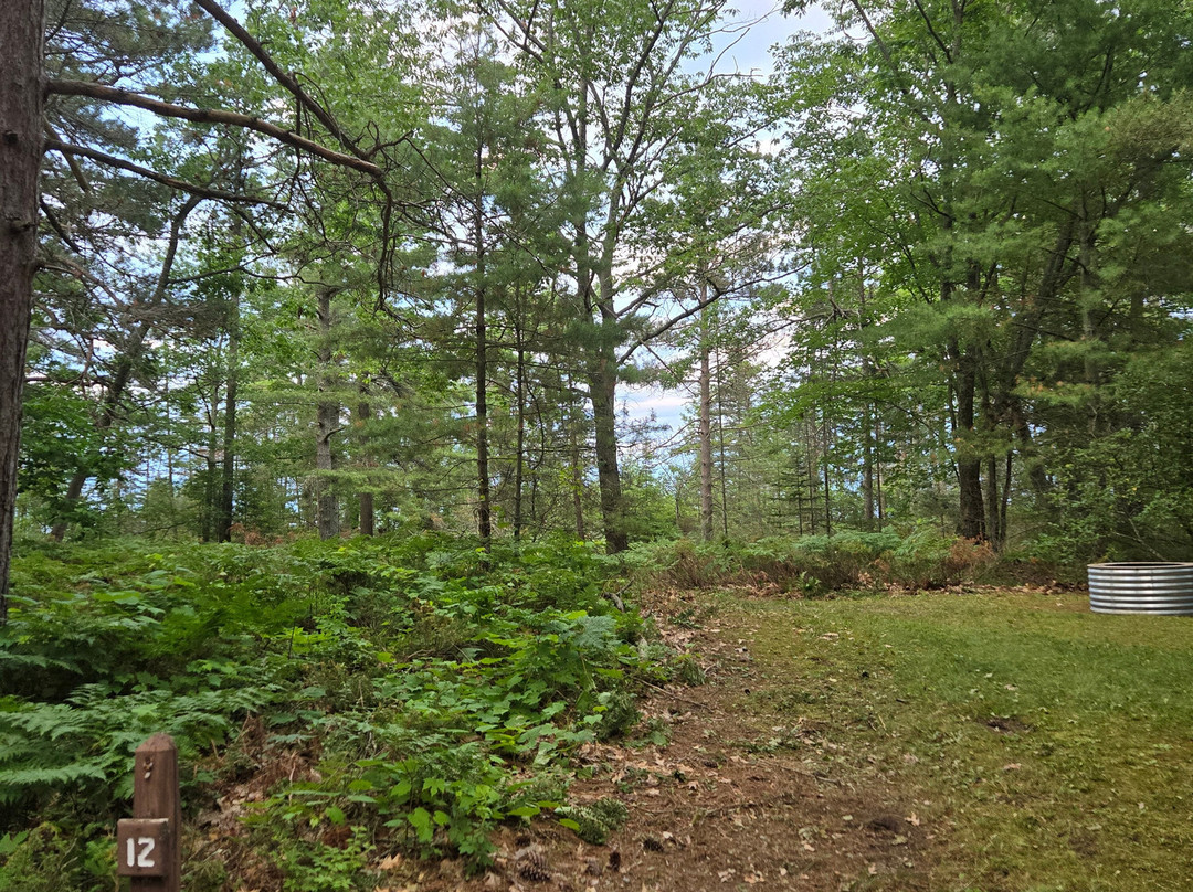 Bill Wagner Memorial Campground