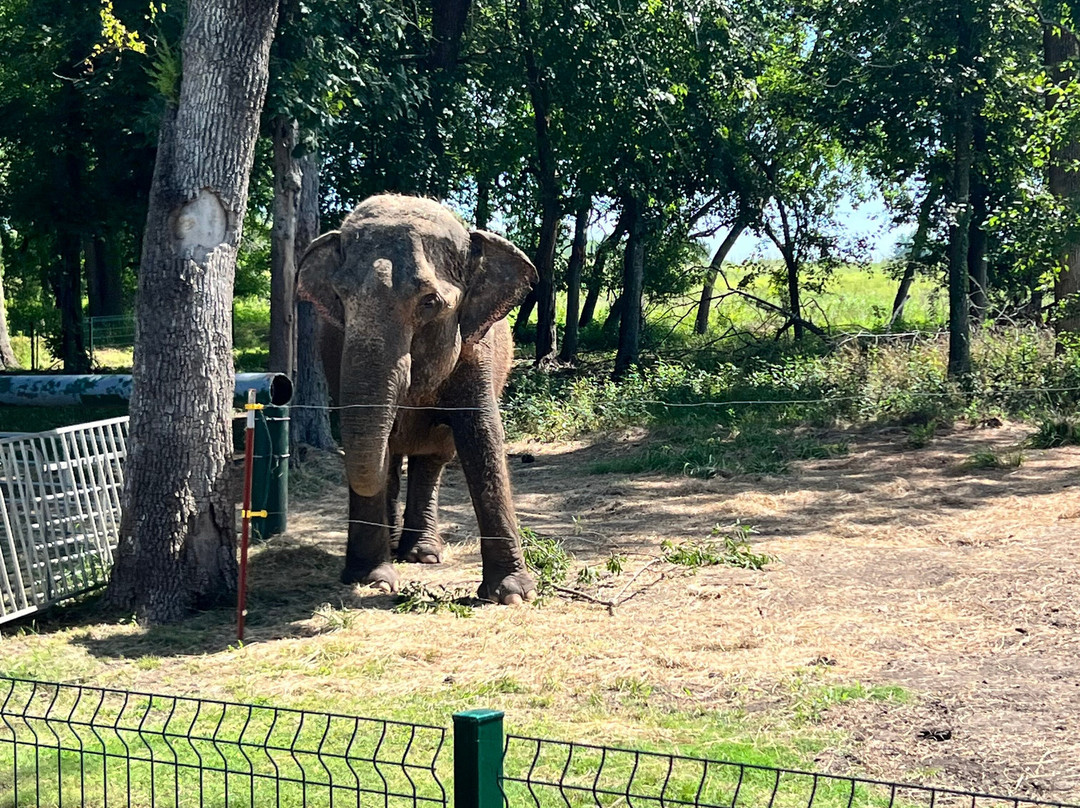 The Endangered Ark Foundation-Hugo必去景点