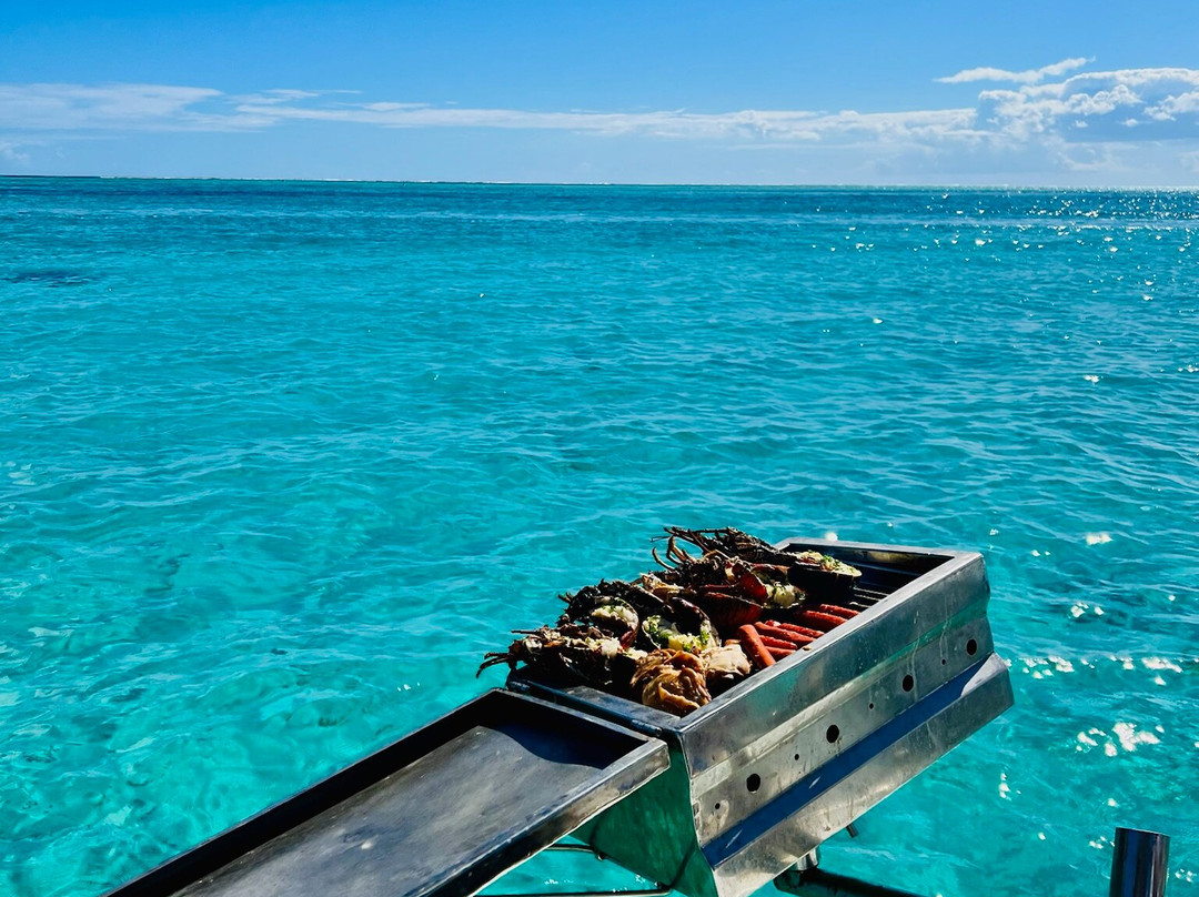 Dadou Excursion-阿尔比恩必去景点