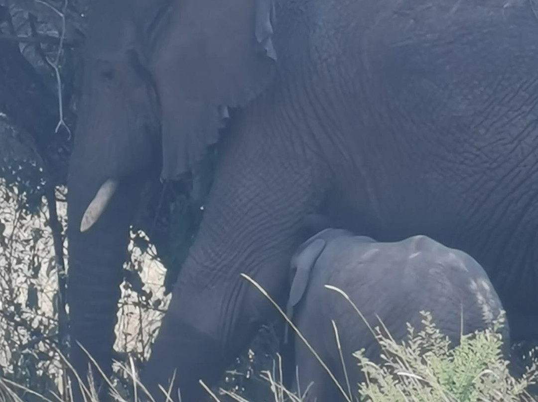 Explore RwandaTours-吉佳利必去景点