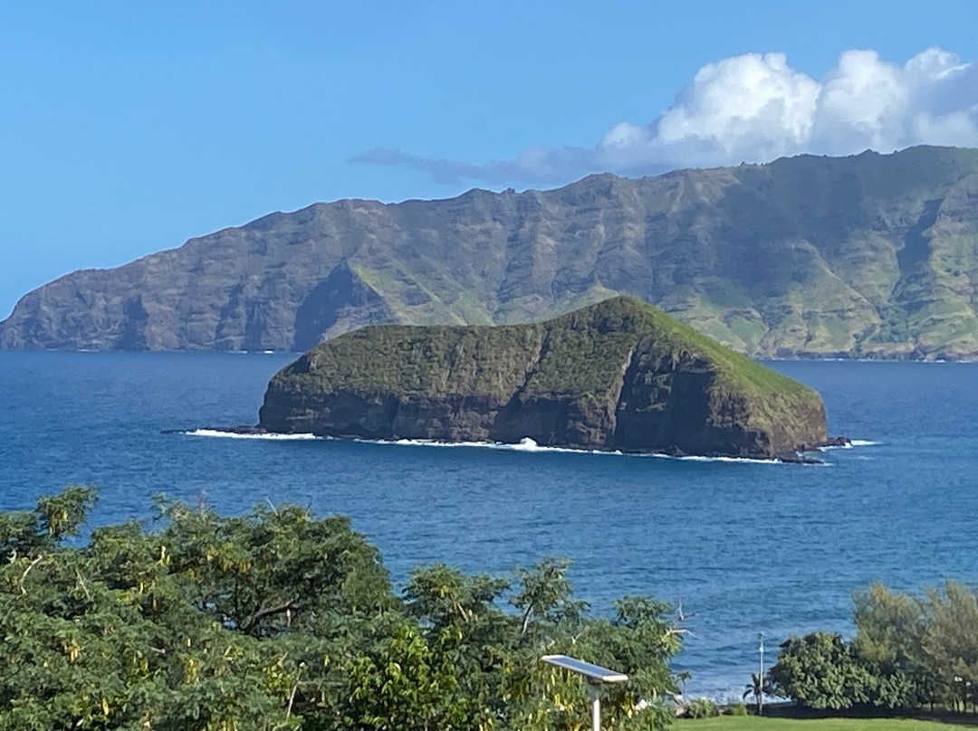 Pension Villa Enata主图