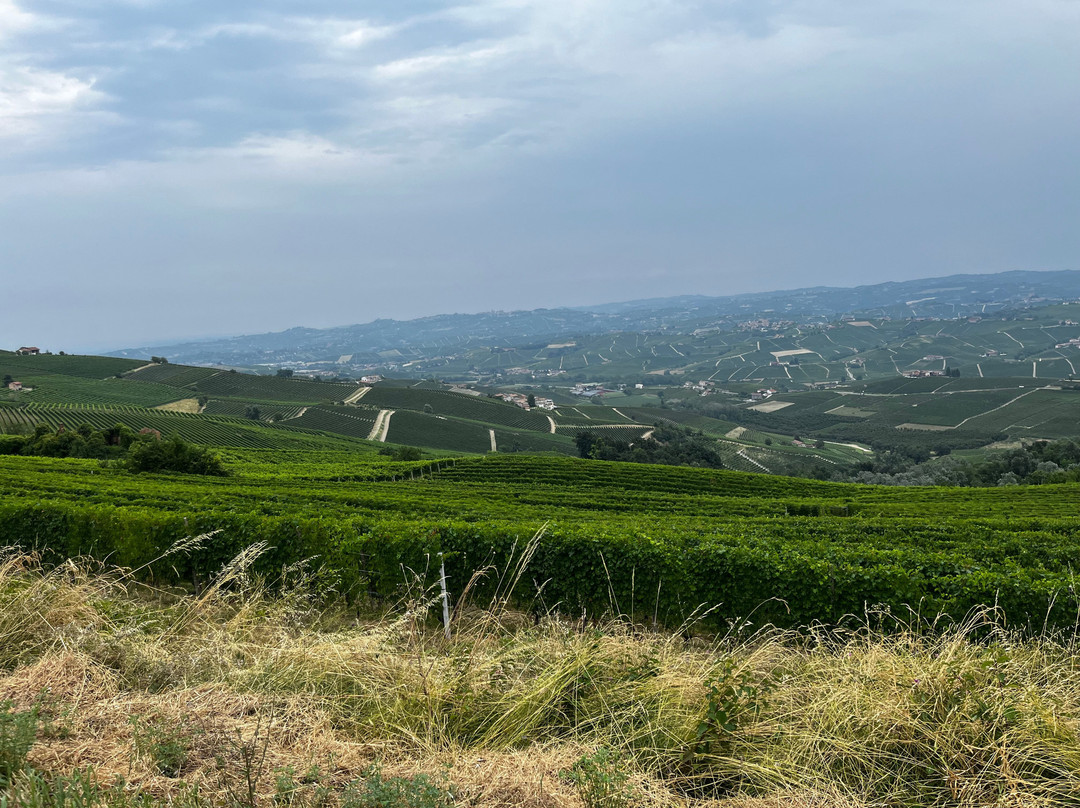 Slowdays-Corneliano d'Alba必去景点