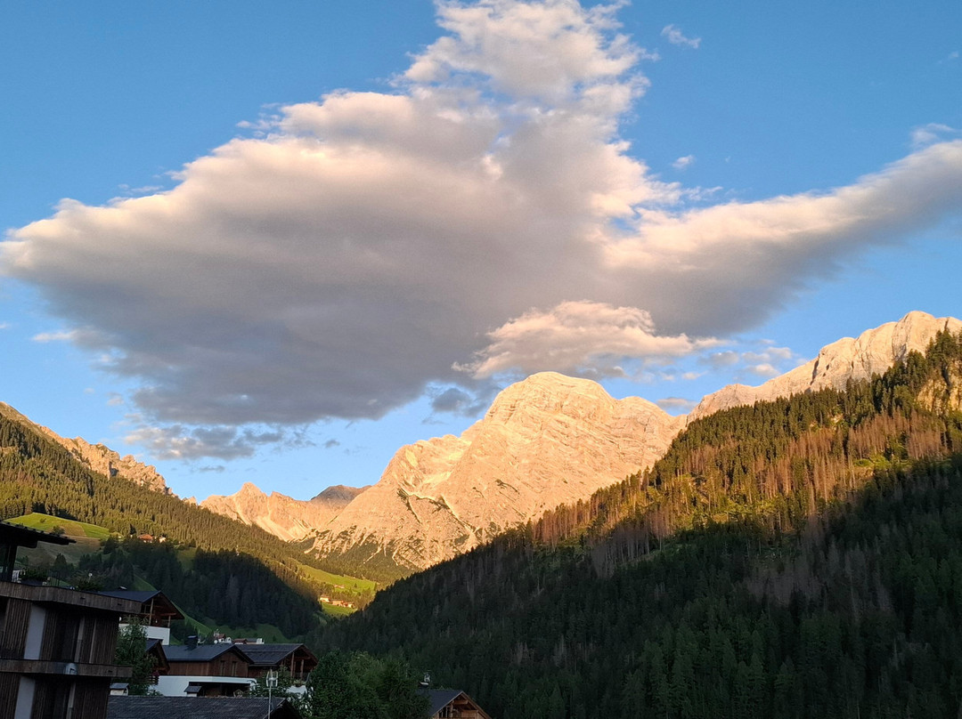 Hotel Chalet La Palsa主图