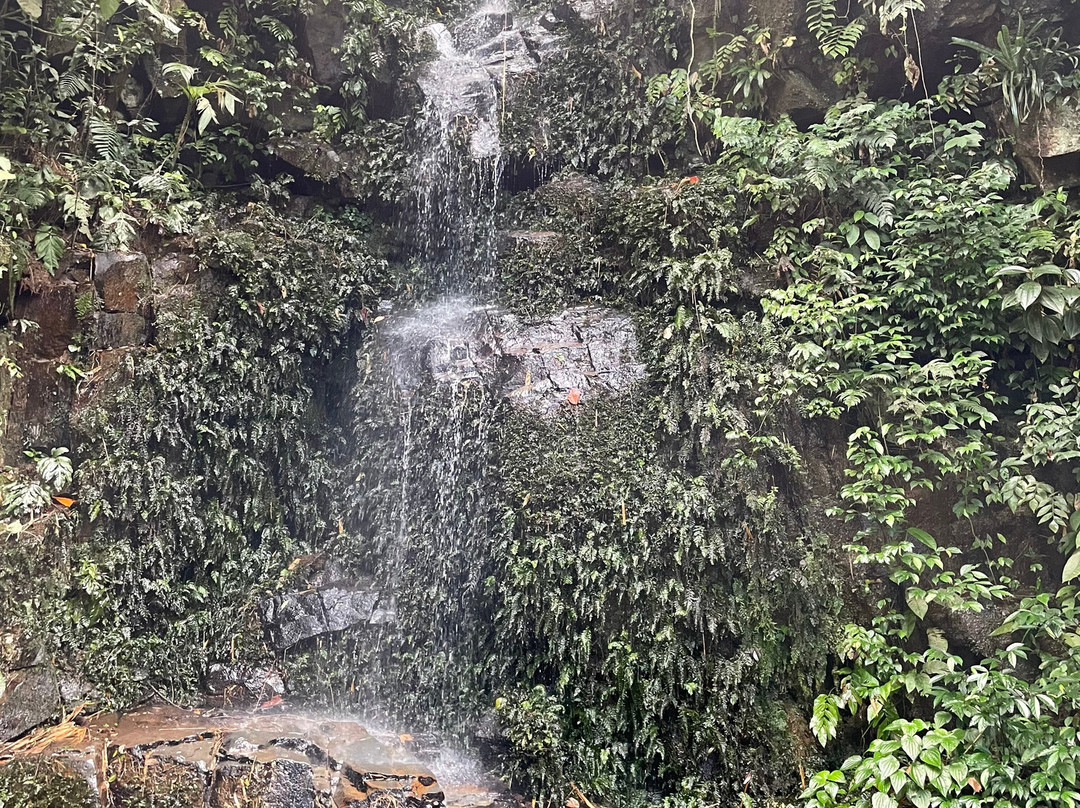 Sallet Tour-伊利亚贝拉必去景点