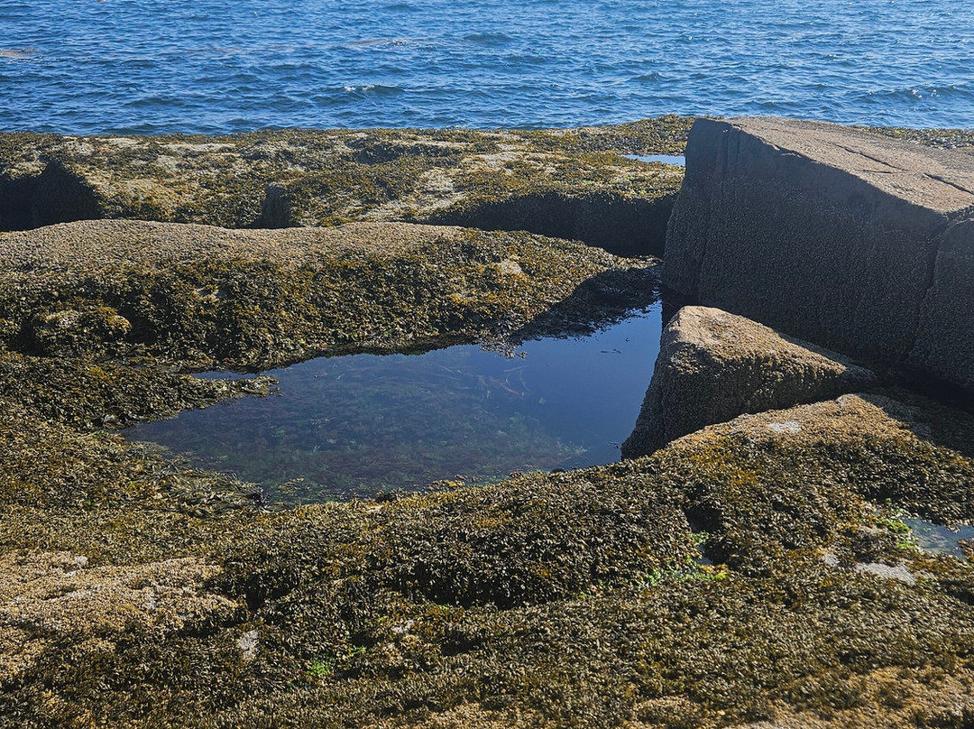 Battle of Aiken Reenactment-艾肯必去景点