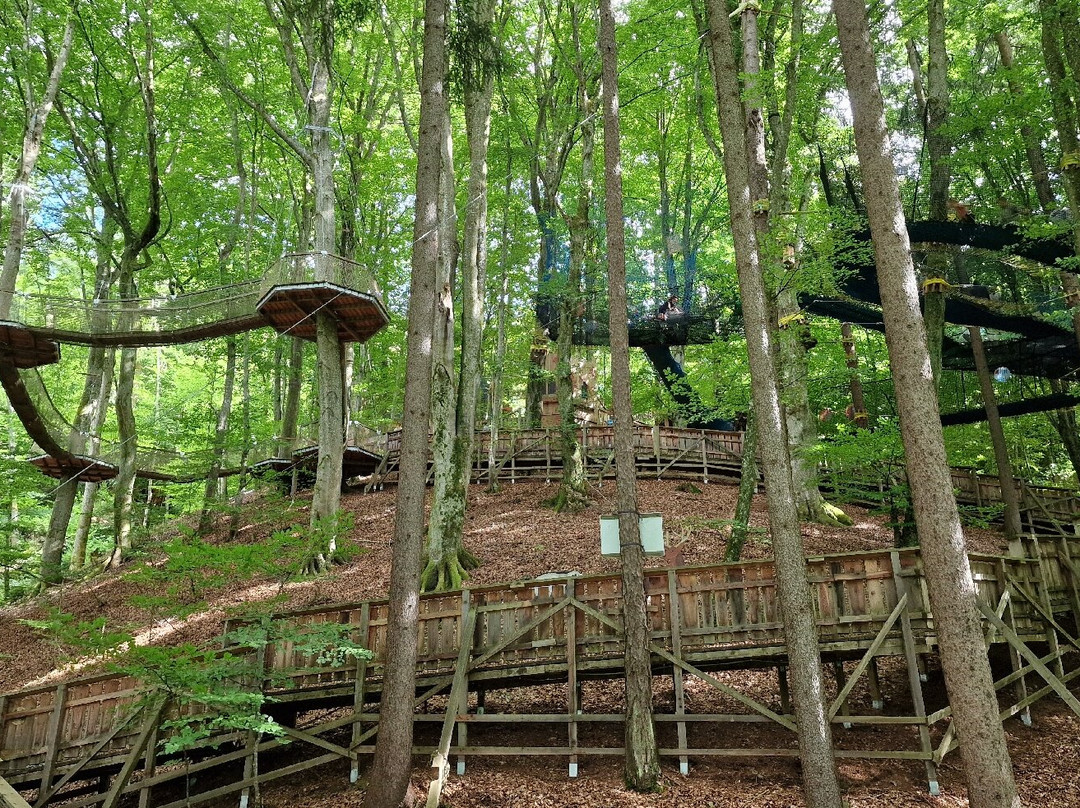 Familywald Ossiacher See-欧西亚赫必去景点