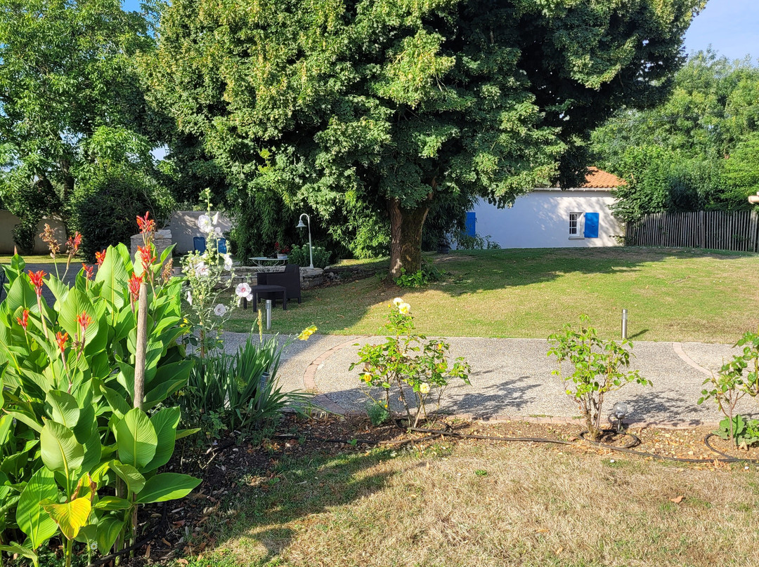 Le Petit Paradis主图