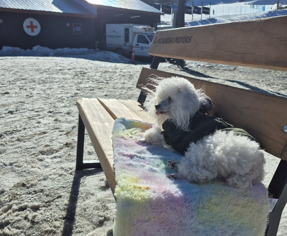 Termas de Chillan-奇廉必去景点