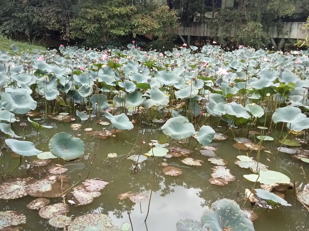 Sri Lanka Tours Taxi-Rambukkana必去景点