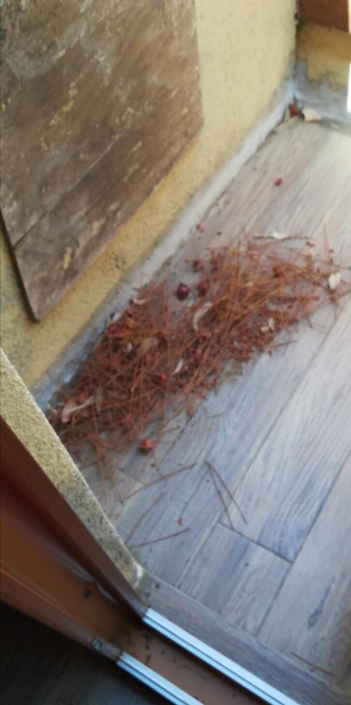 Villaggio Camping Faro Punta Stilo-官方