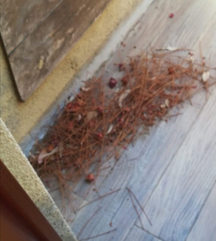 Villaggio Camping Faro Punta Stilo主图