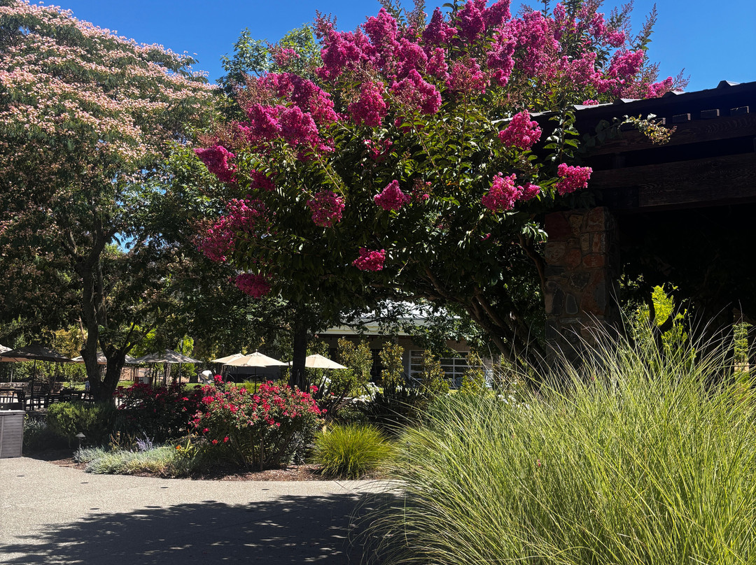 Kunde Family Winery-Kenwood必去景点