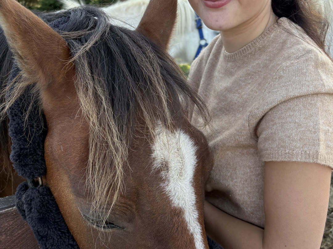 Ballahimmin Riding & Pony Trekking Centre-马恩岛必去景点
