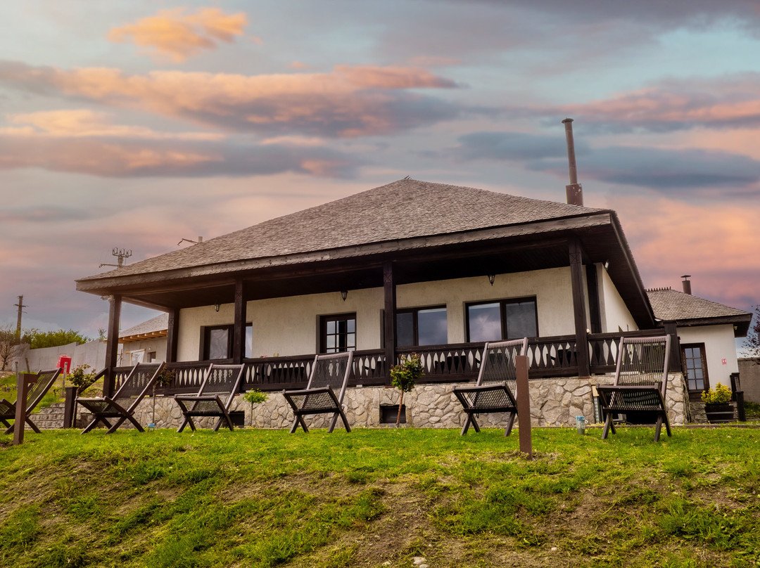 Domeniul Dragasi主图