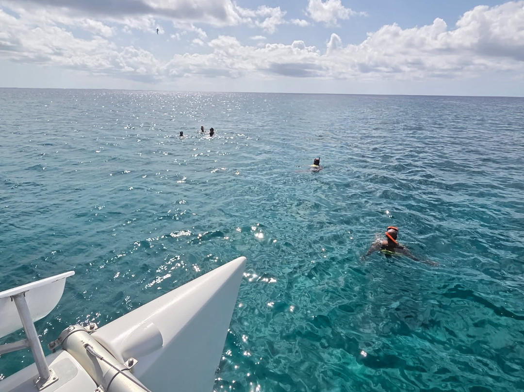 Lady Turkuoise-普罗维登西亚莱斯必去景点