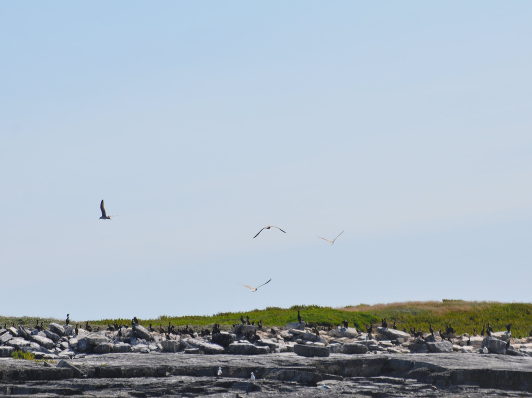 Peggy's Cove Boat Tours-Peggy's Cove必去景点