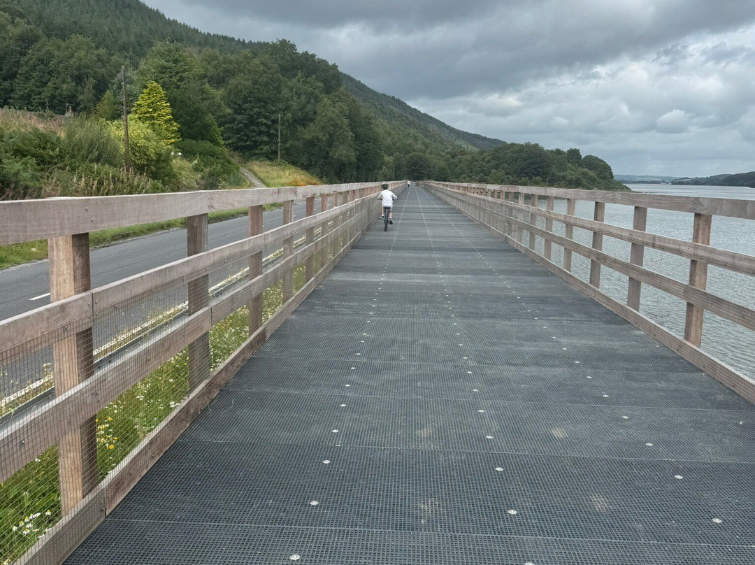 OnYerBike eBike Experiences-Carlingford必去景点