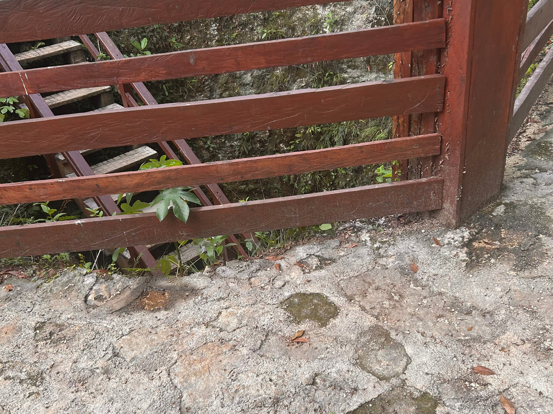 Jungle Kingdom-从莫雷洛斯港必去景点