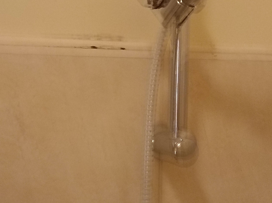 Semiramide Palace Hotel主图