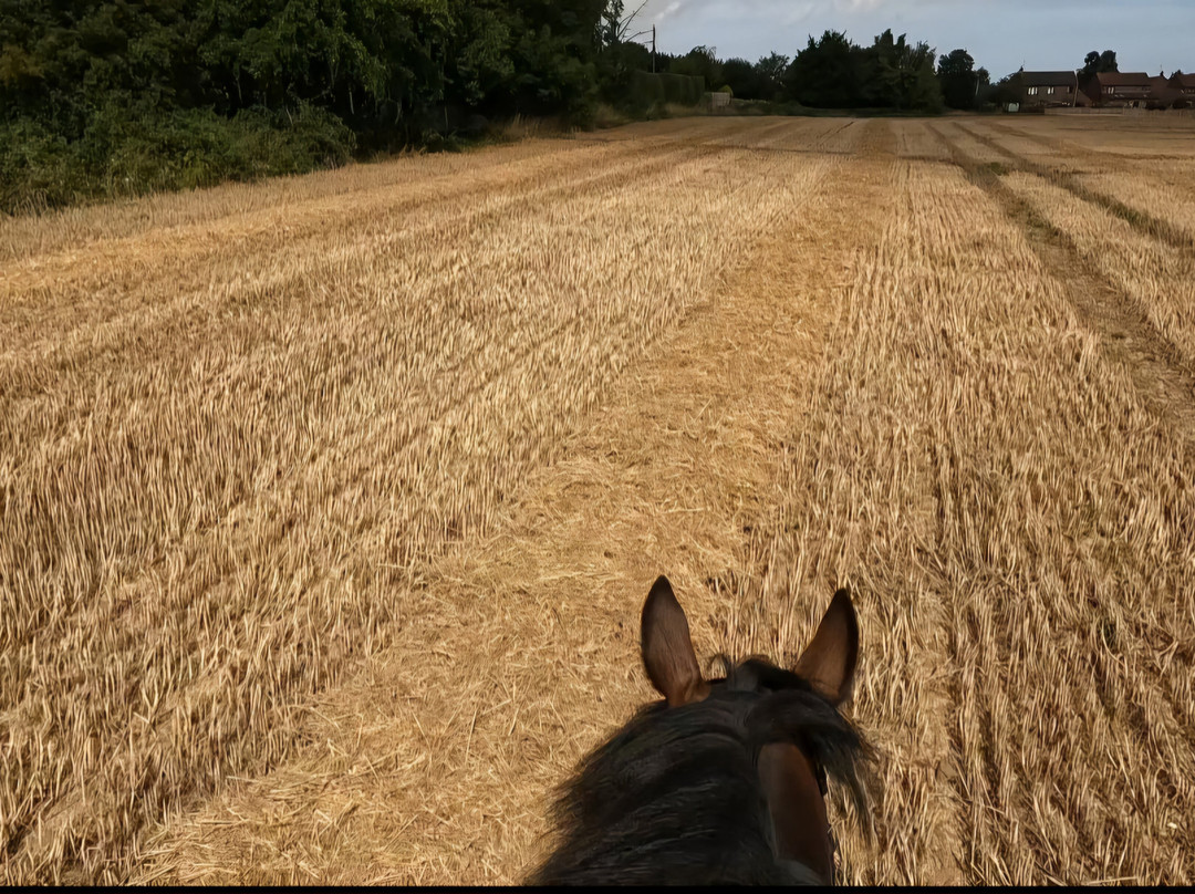 Lakeside Riding Centre-Tunstead必去景点