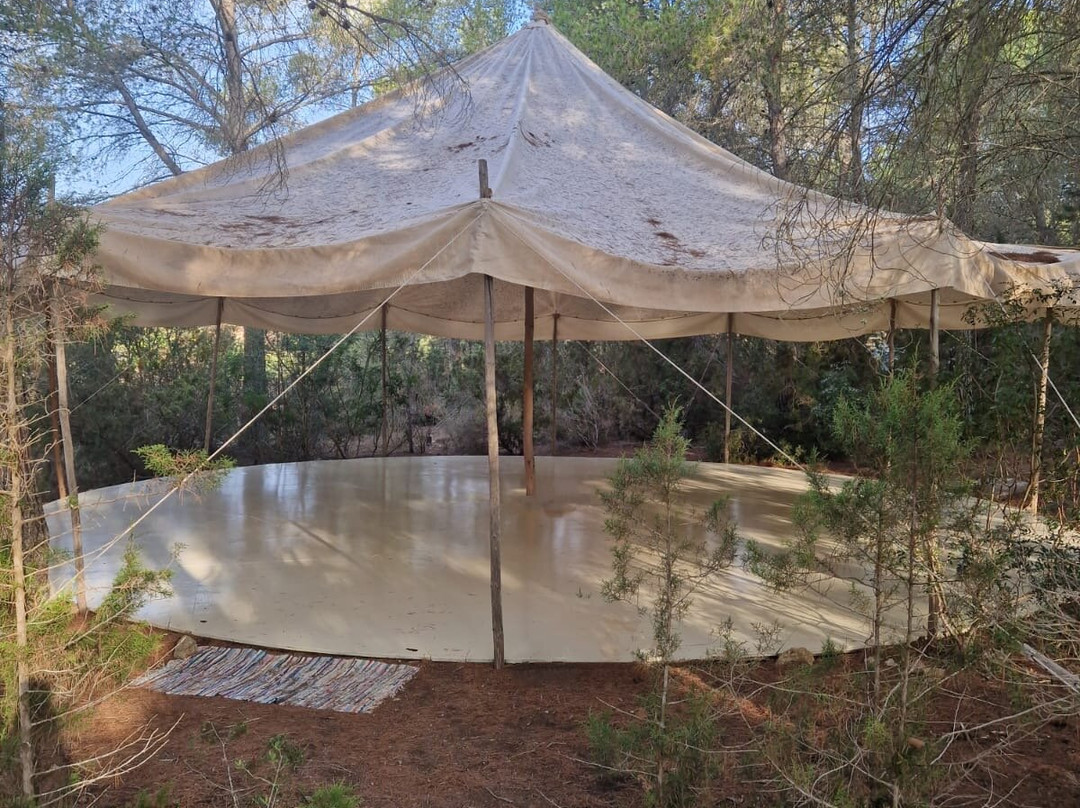 Yoga Pilates Ibiza-伊维萨必去景点