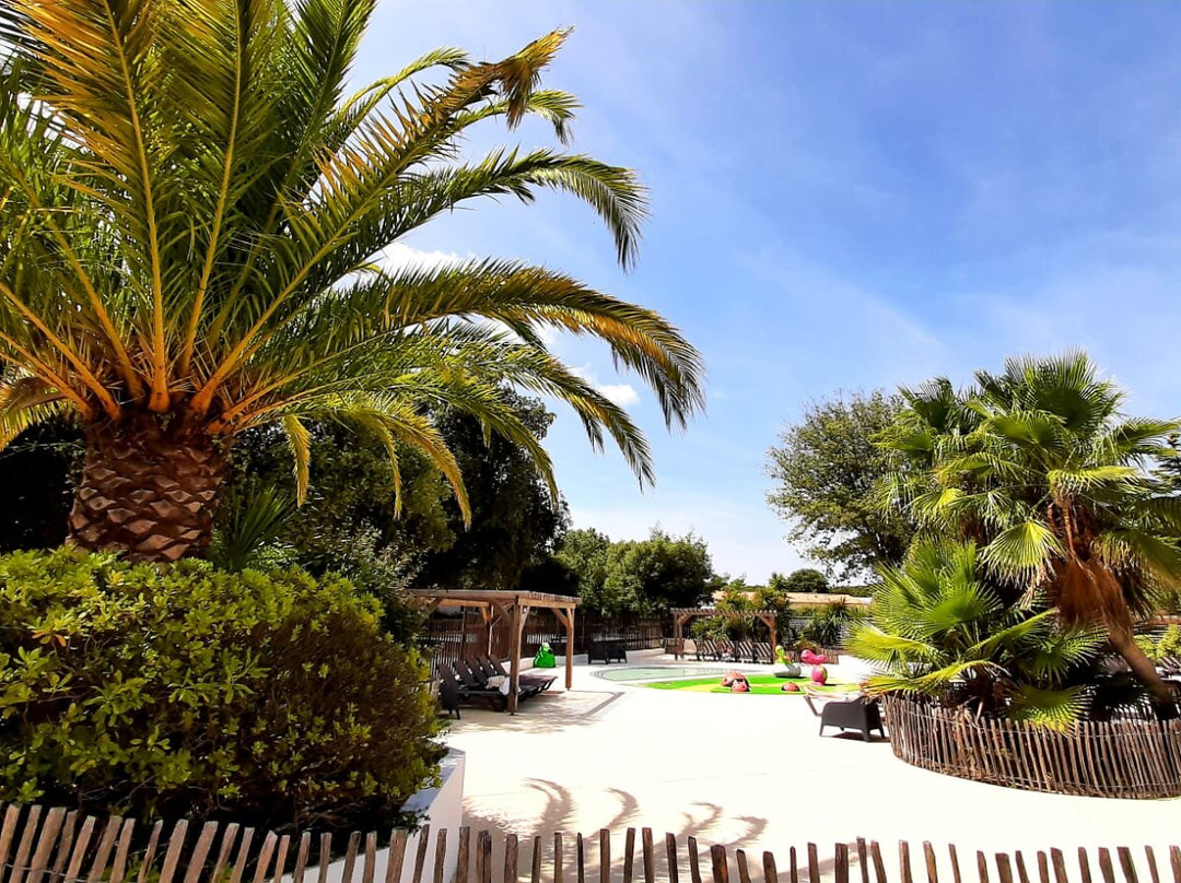 Camping l'ile Blanche主图