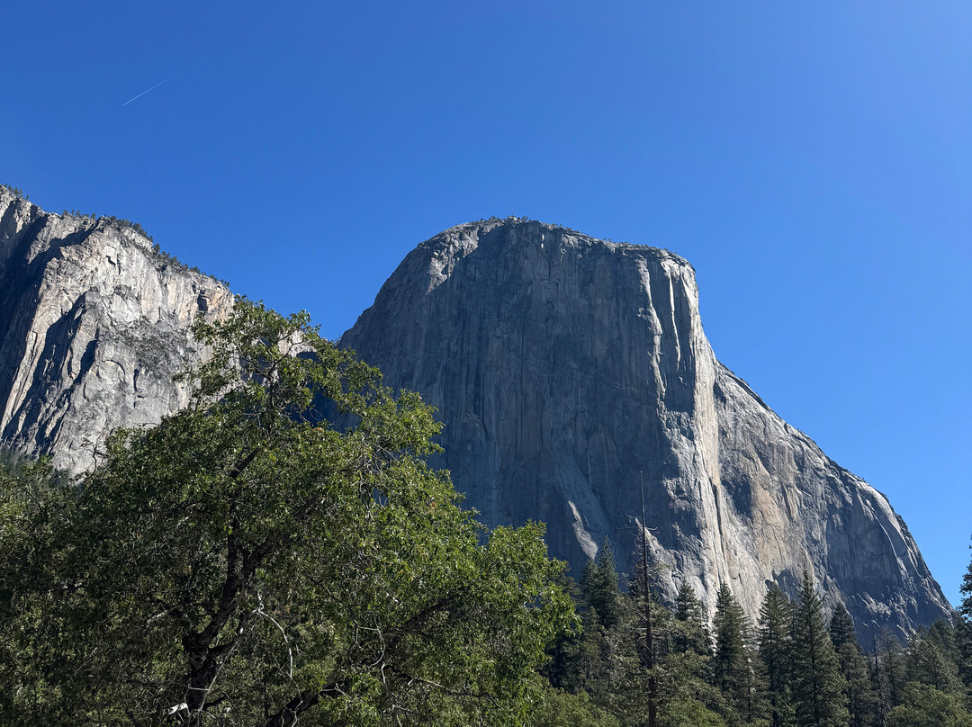 Yosemite Guide Service-格罗夫兰必去景点
