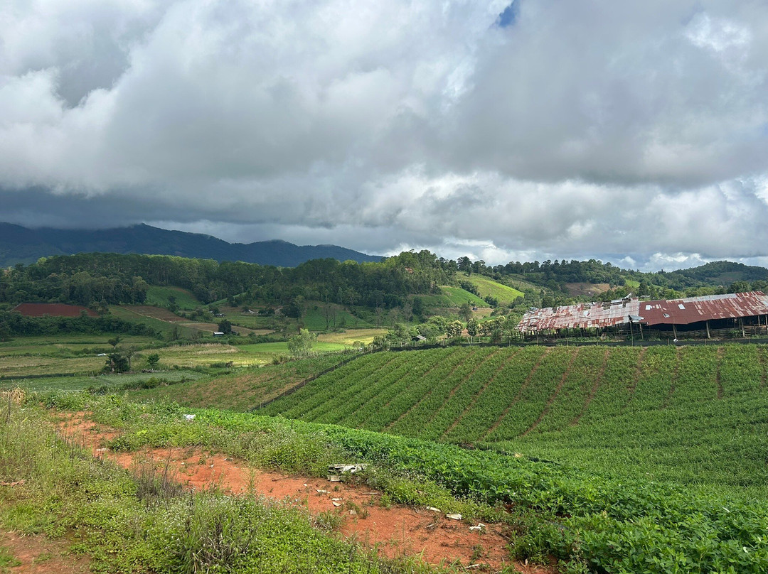 Loolu Tour - Private Day Tours-清迈必去景点