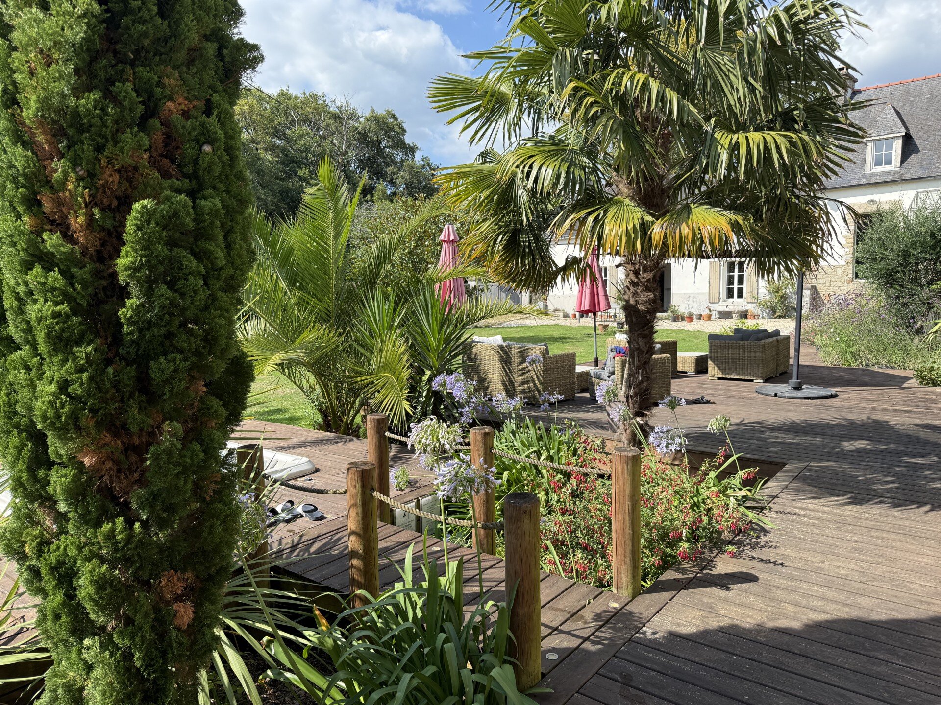 Les Dames de Nage-官方