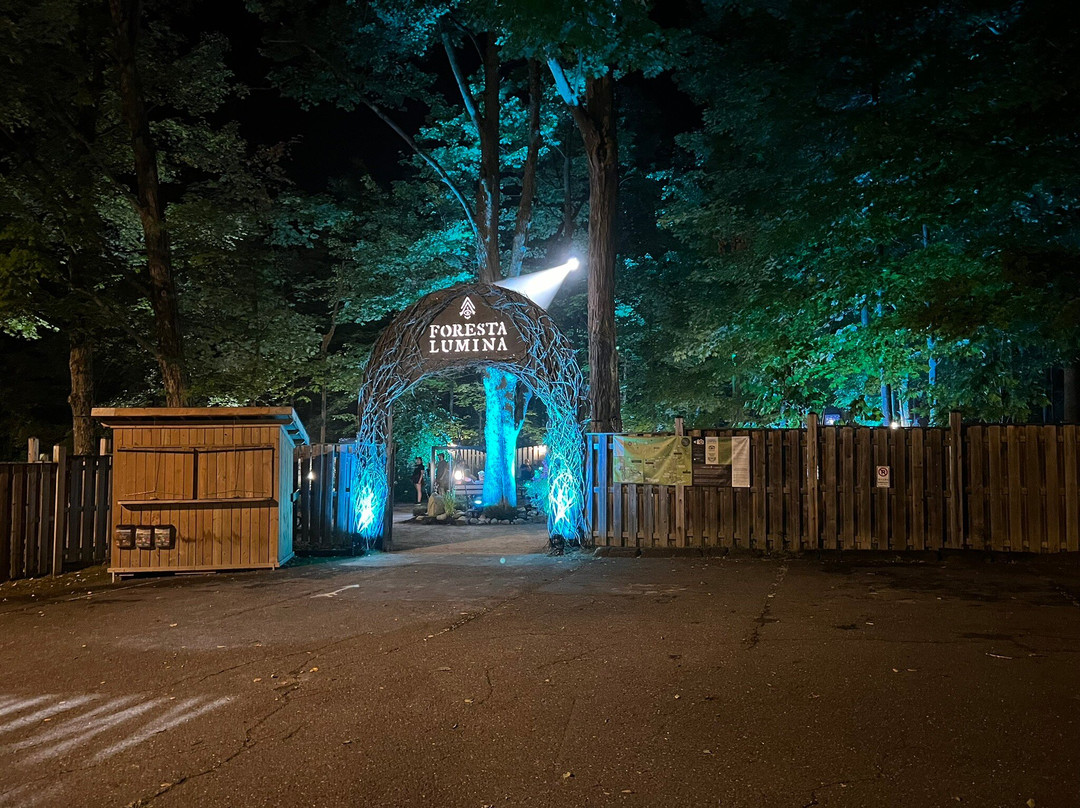 Foresta Lumina-Coaticook必去景点