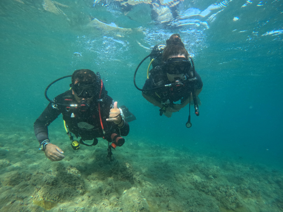 Argonauta Diving Resort-Rovies必去景点
