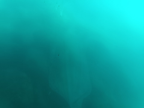 Vision Sous marine-赛特必去景点