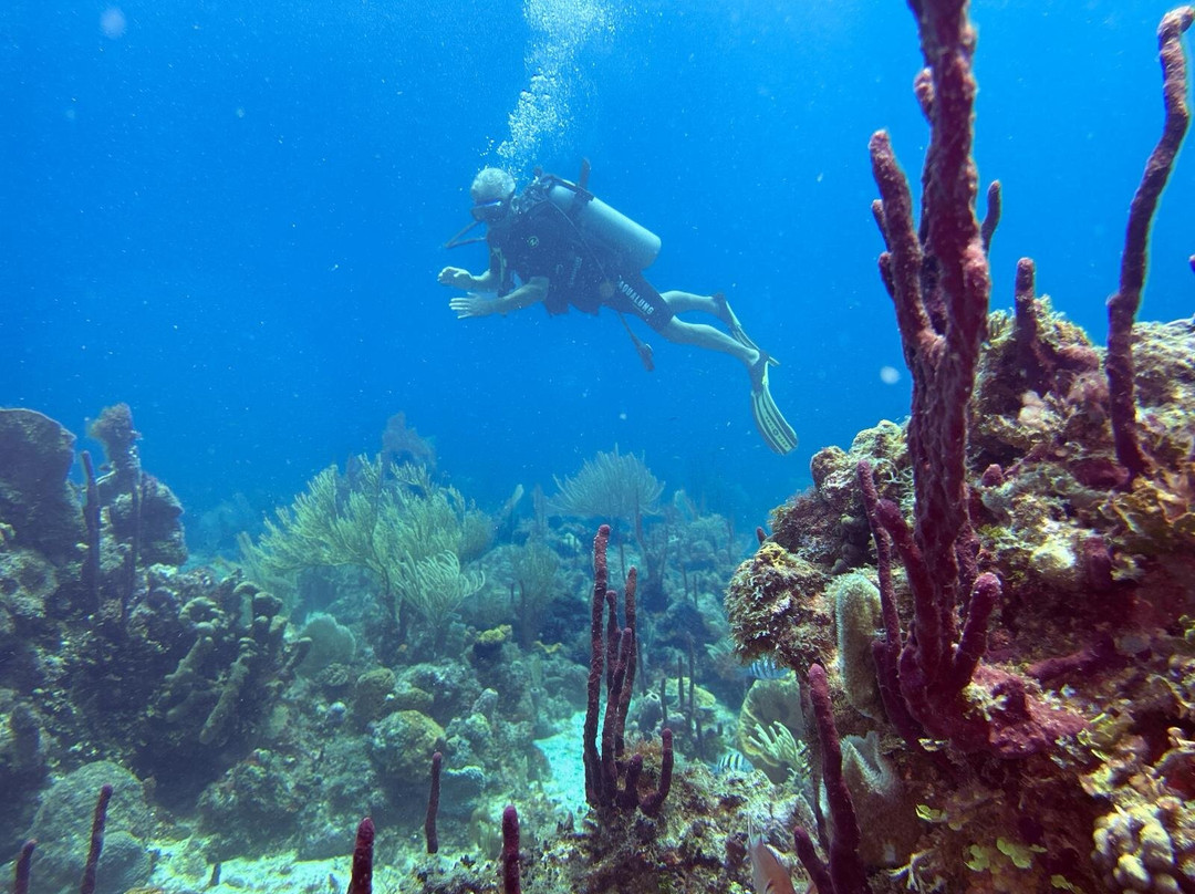 Scubafun-Bayahibe必去景点