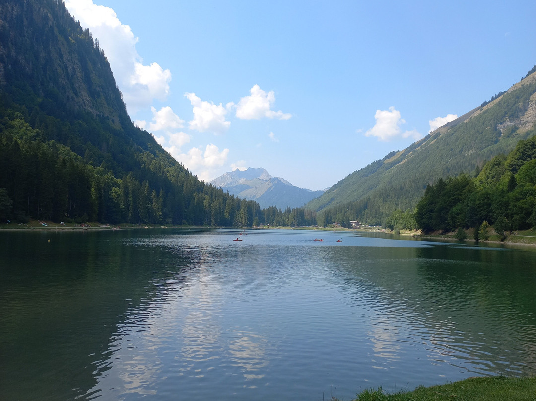 Cascade D'ardent-Montriond必去景点