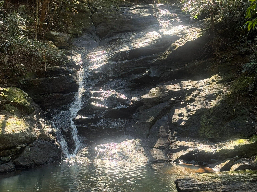 Kondalilla Falls-蒙特维尔必去景点