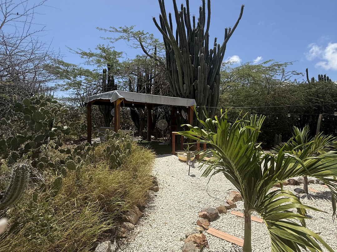 Nafanny Spa-Noord必去景点