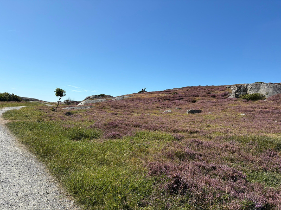 Roro naturreservat-Ockero必去景点