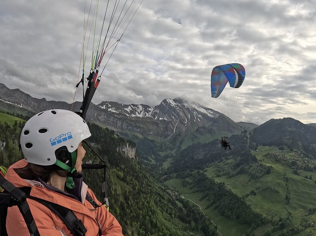 Alpine Paragliding-Ennetburgen必去景点