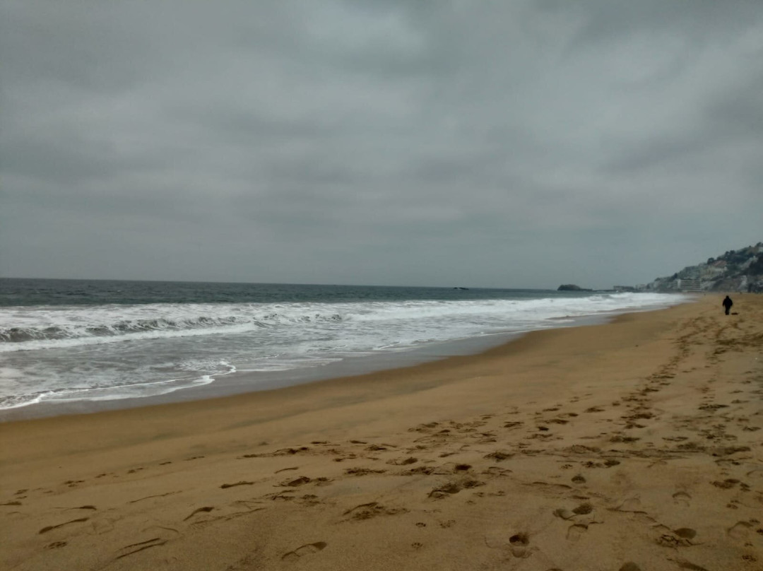 Playa Renaca-比尼亚德尔马必去景点