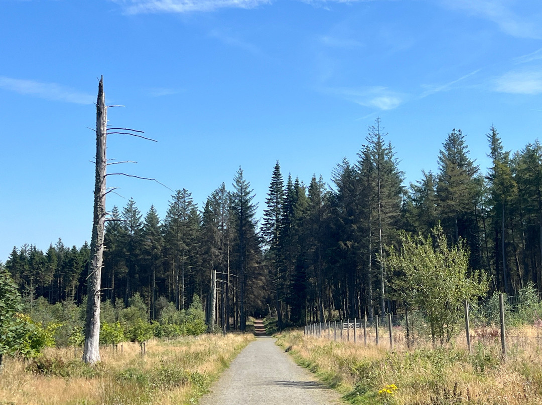 Beecraigs Country Park-林利斯戈必去景点