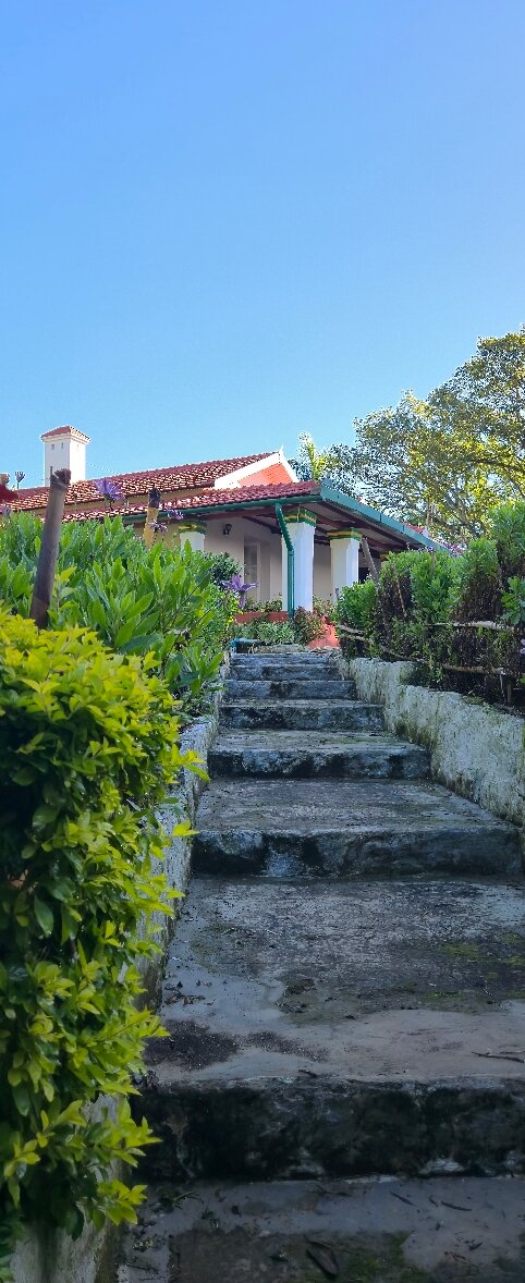 Adderley Bungalow Stays-官方