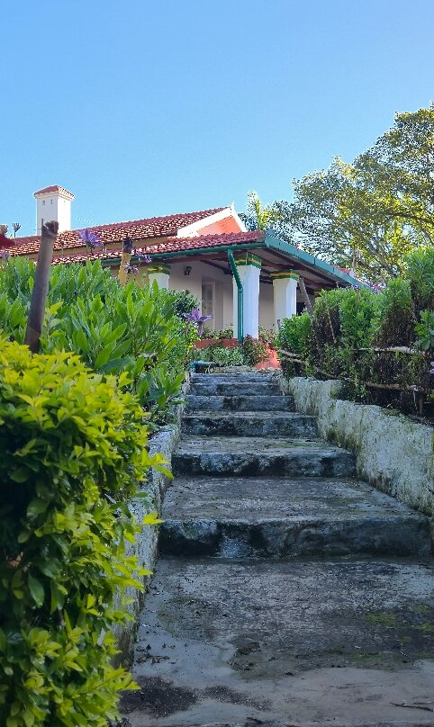 Adderley Bungalow Stays主图