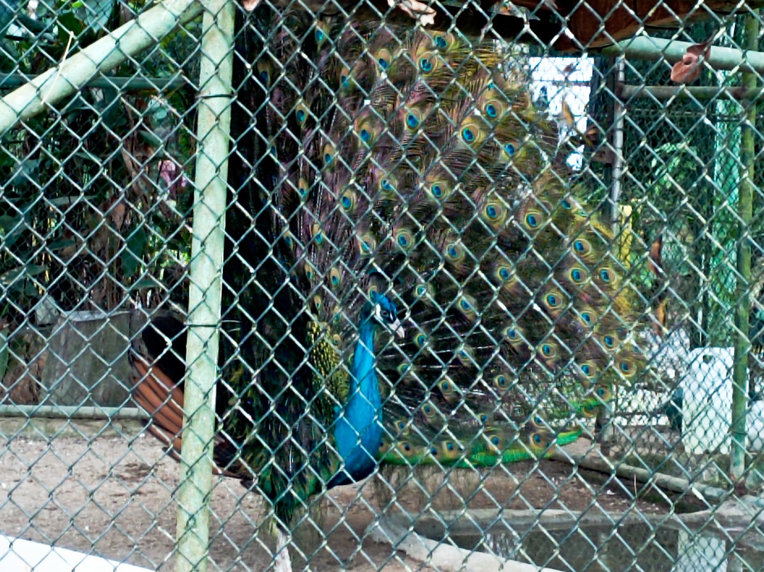 Parque Zoobotanico de Brusque-Brusque必去景点