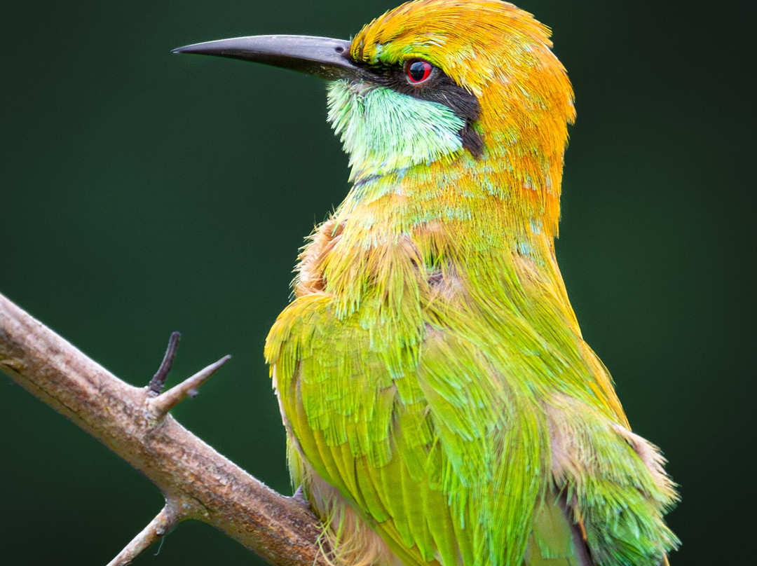 North Lanka Nature Trails-Kilinochchi必去景点