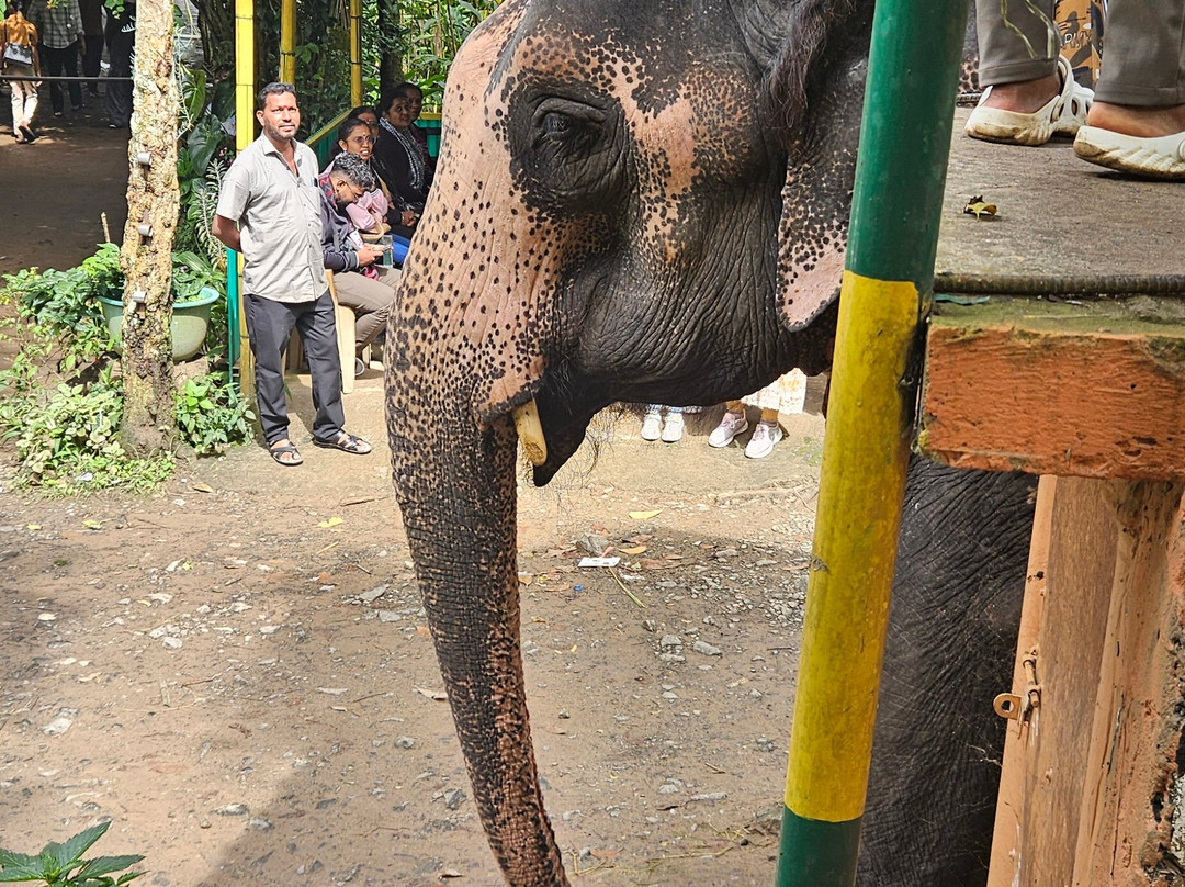 TaxiBazaar-加兹阿巴德必去景点