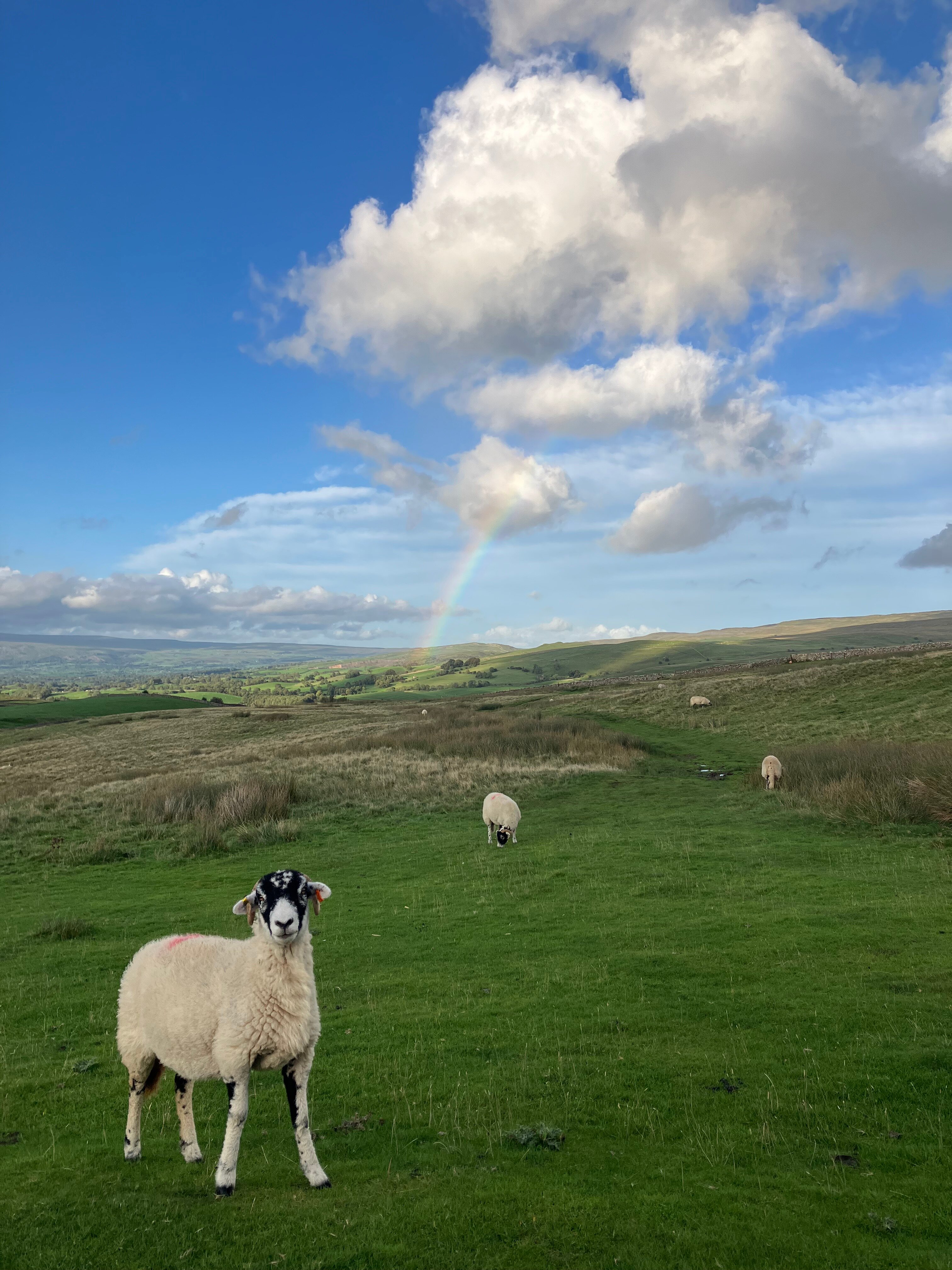 石质别墅酒店-官方