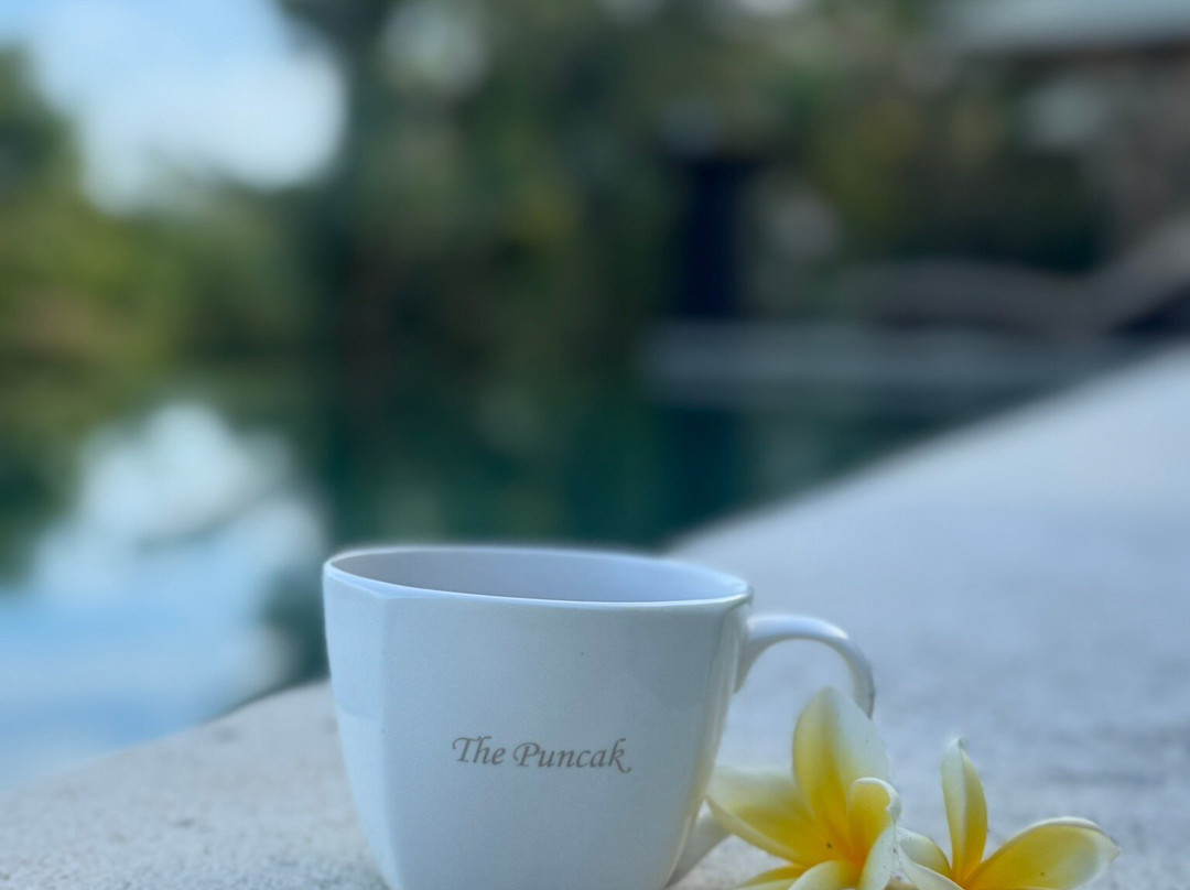 潘卡科酒店主图