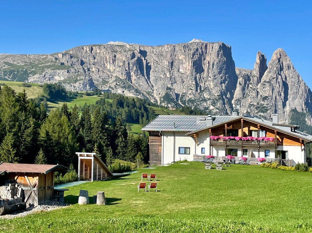 Hotel Chalet Dolomites主图