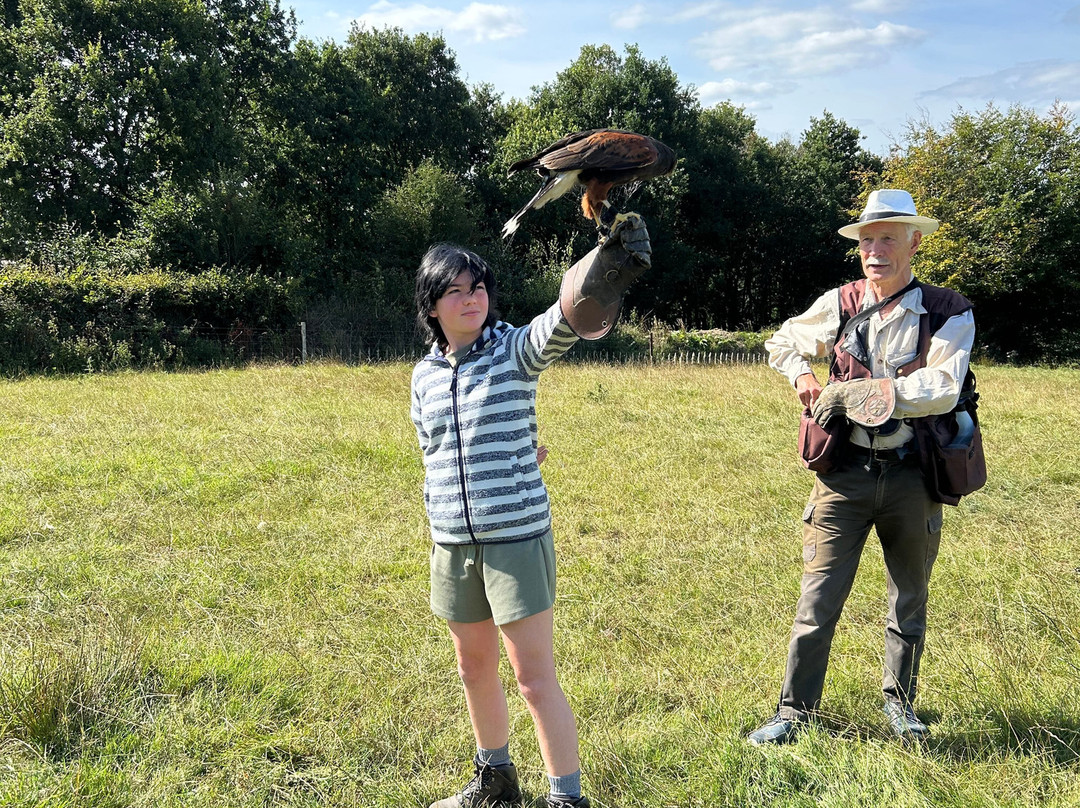 North Devon Hawk Walks-South Molton必去景点